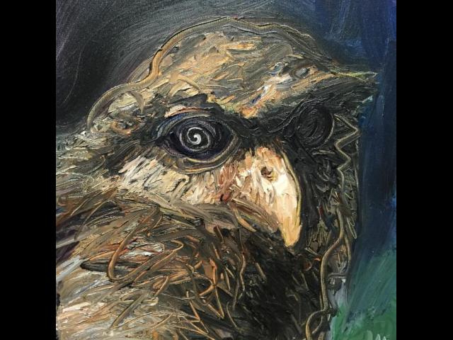 Connelly, Owl, Oil on Canvas
